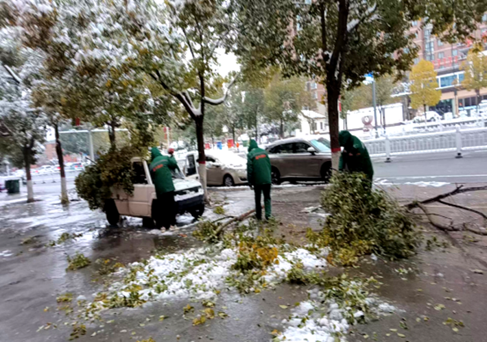 园林绿化中心全力做好雨雪寒潮天气下的清理工作409.png