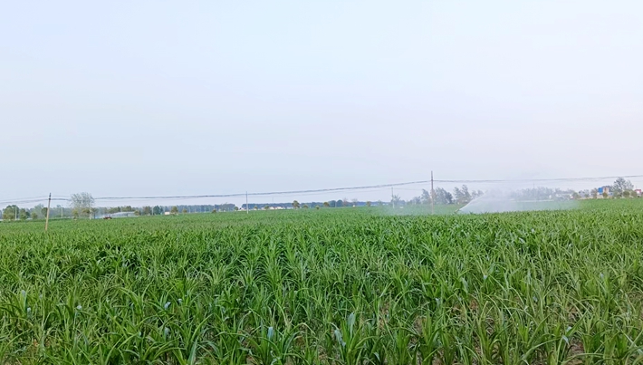微信图片_20250731161557.jpg