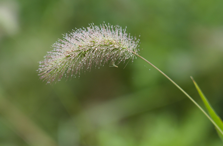 9aa03c557acd4943a02213677e16036f.png 9aa03c557acd4943a02213677e16036f.png