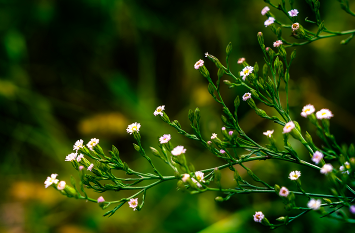 a3b3d628025a4f2dac53ab1148492f3d.png a3b3d628025a4f2dac53ab1148492f3d.png