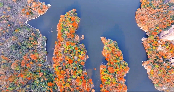 微信图片_20251106172150_161_9.jpg 微信图片_20251106172150_161_9.jpg