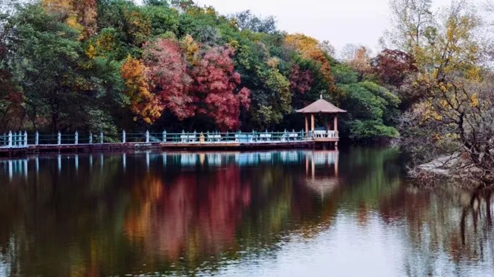 640 (2).jpg 640 (2).jpg