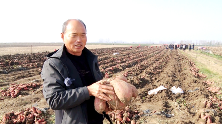 微信图片_20251117094442_173_9.jpg 微信图片_20251117094442_173_9.jpg