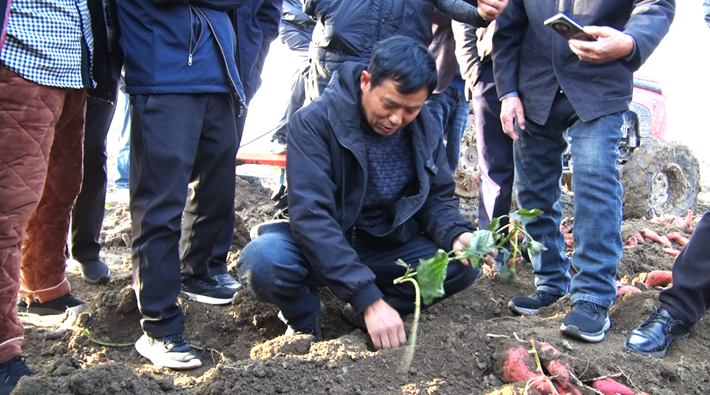 微信图片_20251117094329_171_9.png 微信图片_20251117094329_171_9.png