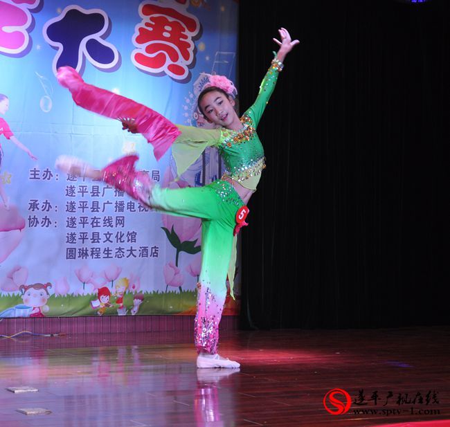 遂平广播电视台七彩阳光第二季赛落幕