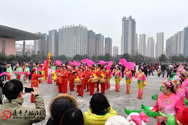 DSC_0355_副本