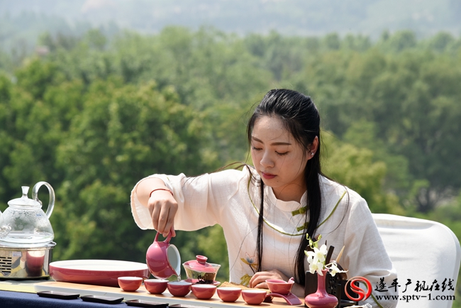 驻马店驿宝行茶艺师在为客户表演茶道