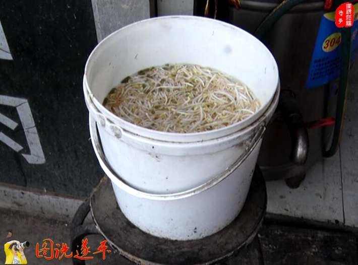 图为:某小吃店的绿豆芽泡在用过的涂料桶内。