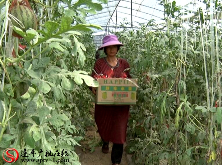 QQ截图20170706093520