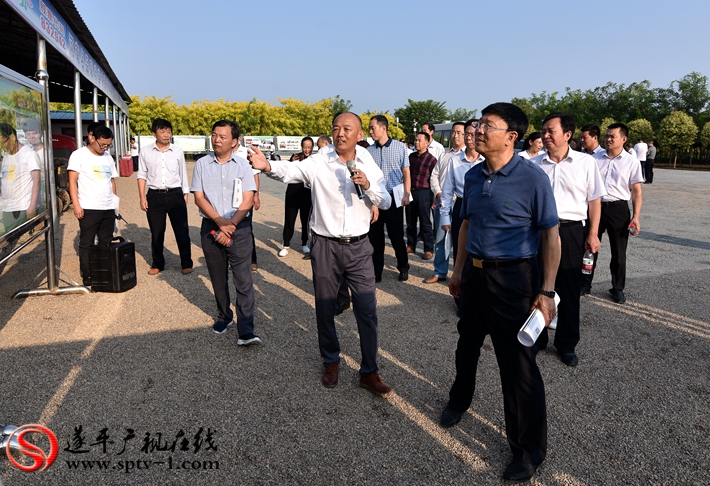 DSC_0388_副本