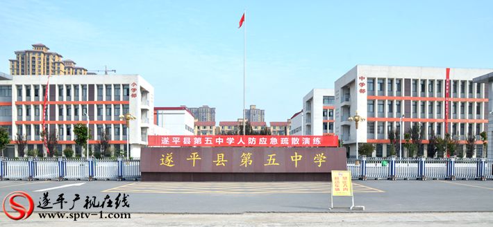 D70_5910_副本