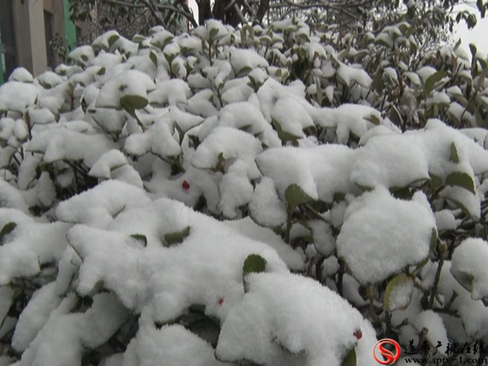 2018-1-3谢飞 雪景.avi_20180104_102830.149_副本
