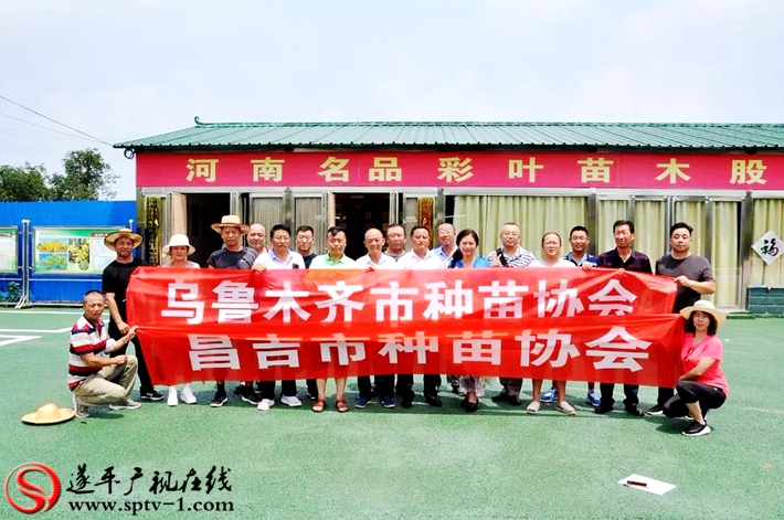 微信图片_20180801150505