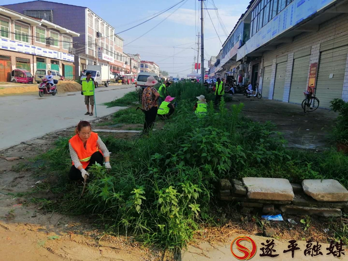 遂平县石寨铺镇:每天一小时 干净石寨铺